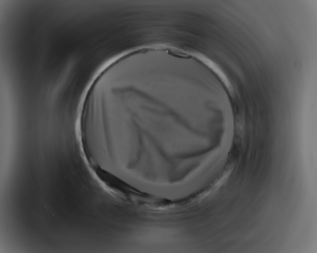 X0000086760959200705111712