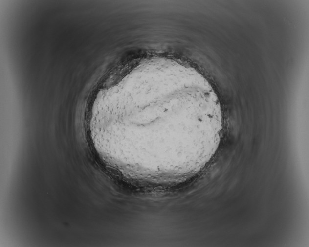 X0000086760961200705111712