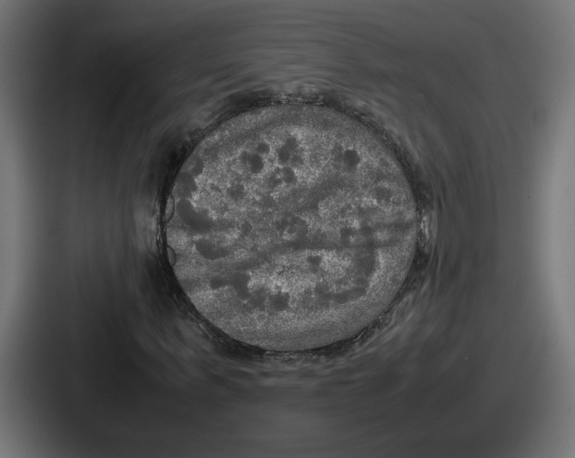 X0000086760963200705111712