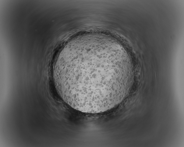 X0000086760965200705111712