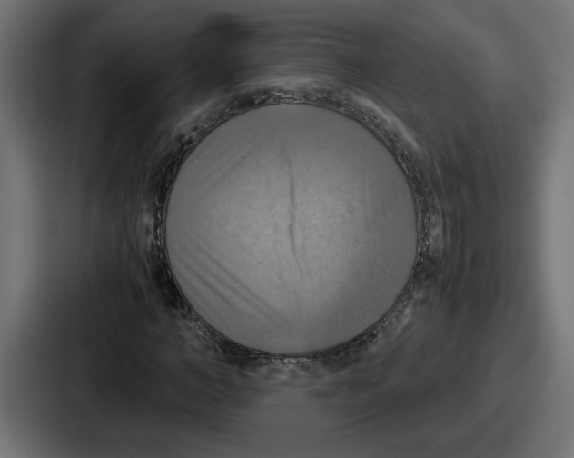 X0000086760966200705111712