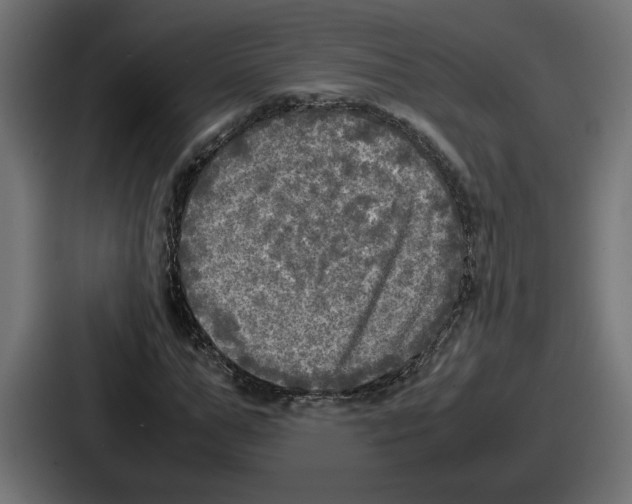 X0000086760967200705111712