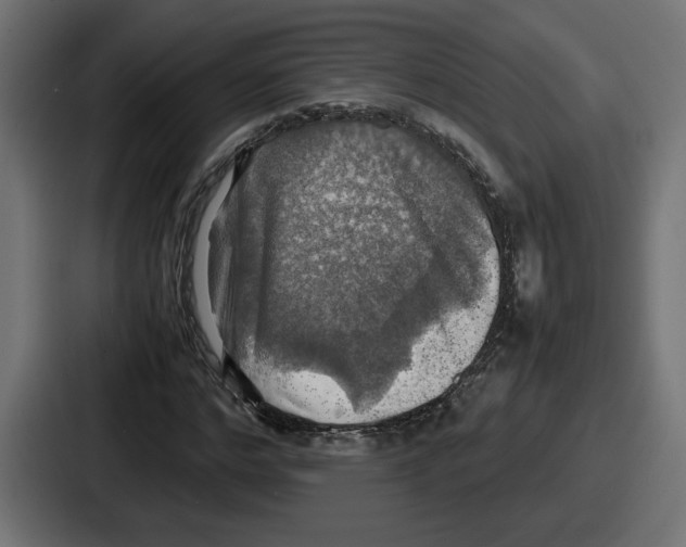 X0000086760968200705111712