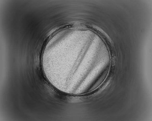 X0000086760969200705111712