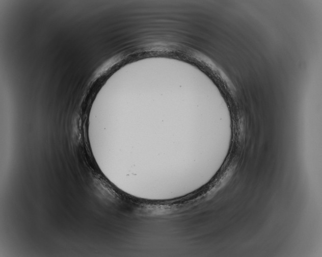 X0000086760970200705111712