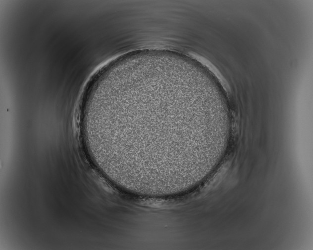 X0000086760971200705111712