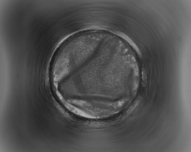 X0000086760972200705111712