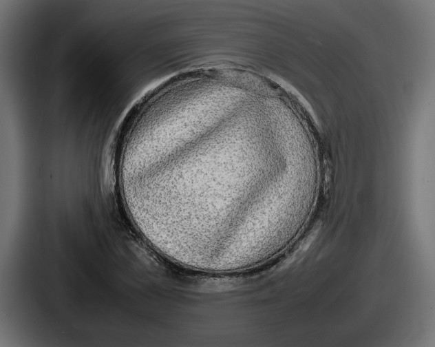 X0000086760973200705111712