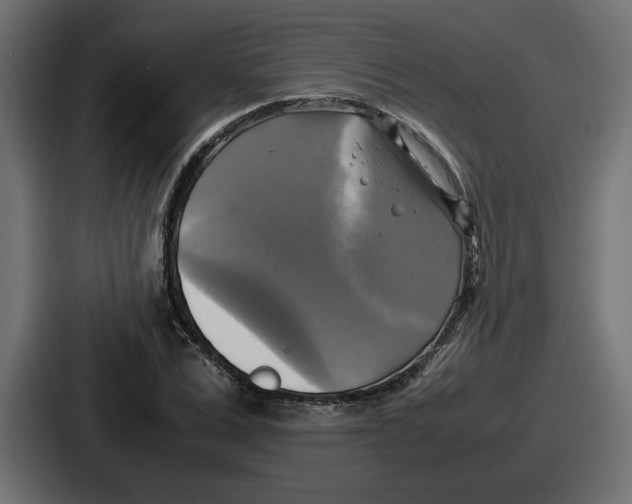 X0000086760975200705111712