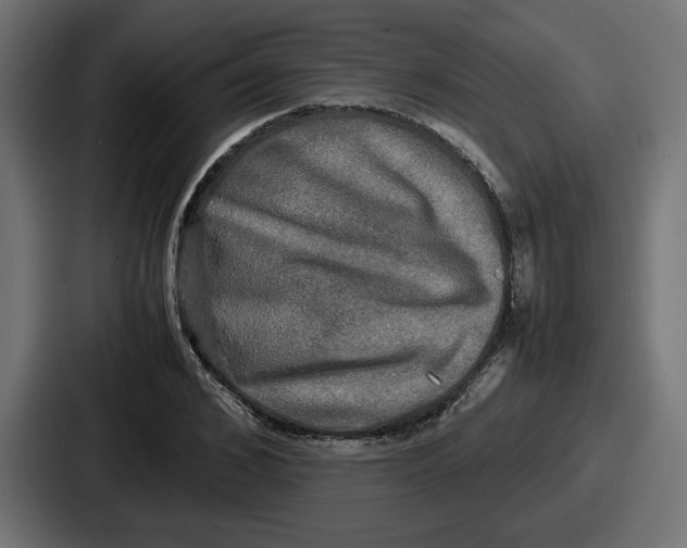 X0000086760976200705111711