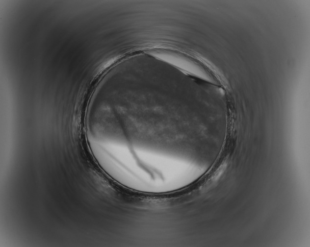 X0000086760977200705111711