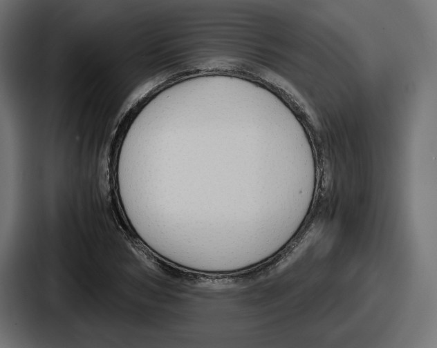 X0000086760978200705111711