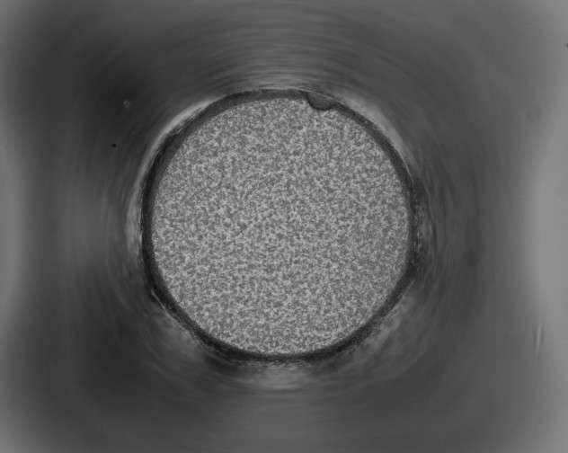 X0000086760979200705111711