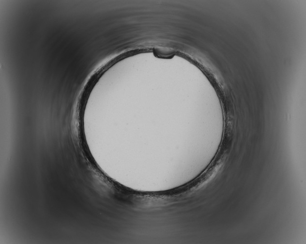 X0000086760981200705111711