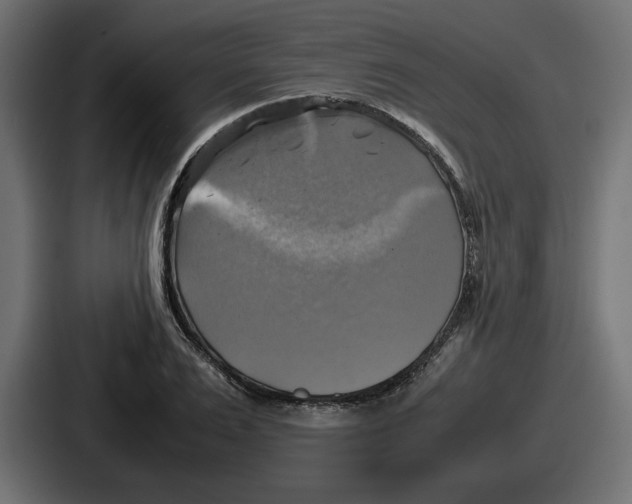 X0000086760983200705111711