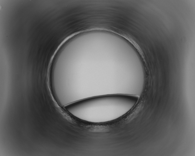 X0000086760984200705111711