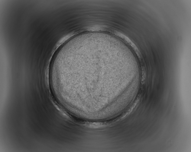 X0000086760986200705111711