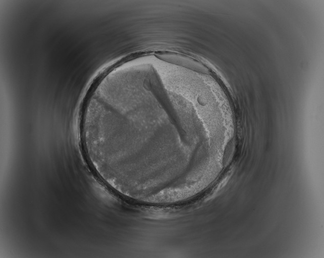 X0000086760987200705111711