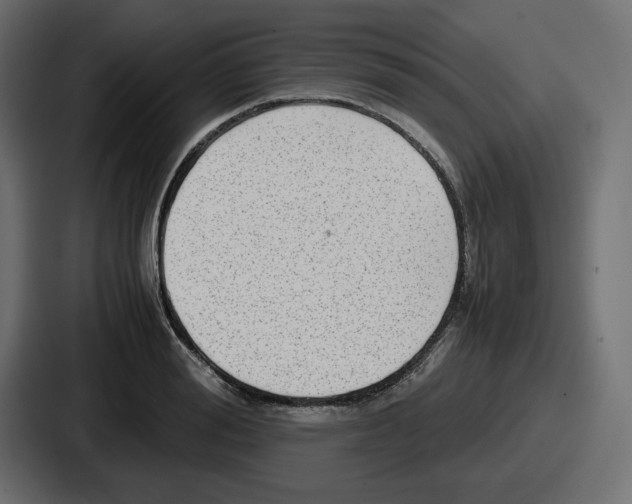 X0000086760988200705111711