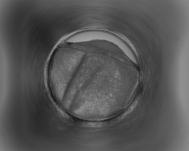 X0000086760989200705111711