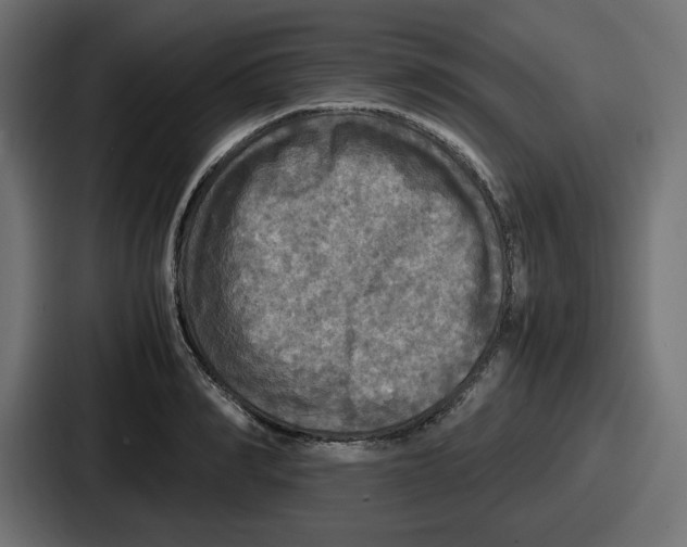 X0000086760990200705111711