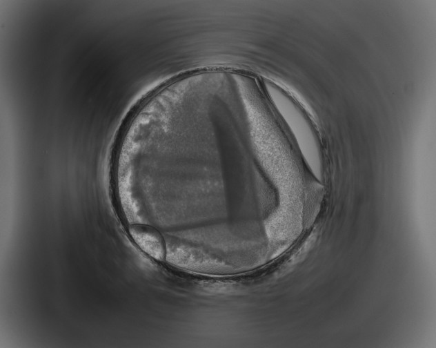 X0000086760991200705111711