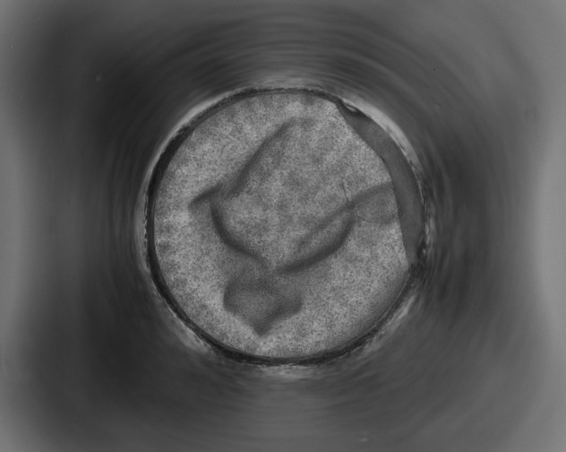 X0000086760992200705111711