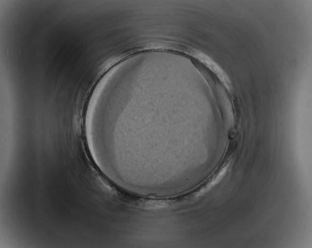 X0000086760993200705111711