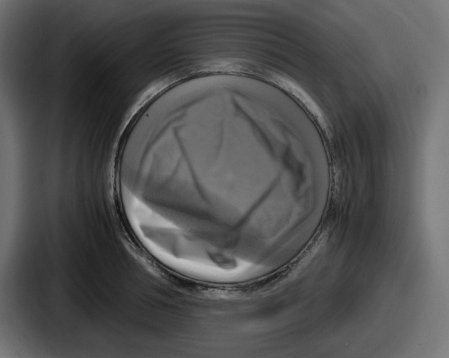 X0000086760994200705111711