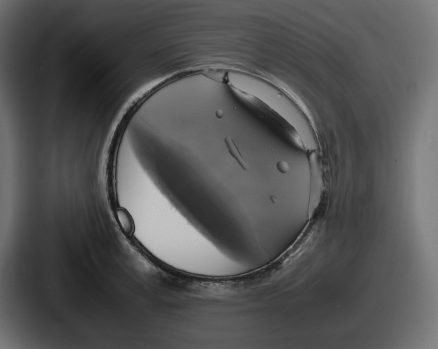 X0000086760995200705111711