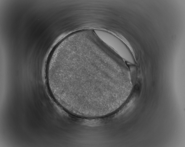 X0000086760997200705111711