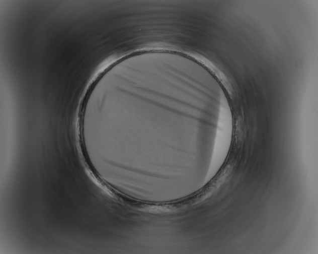 X0000086760998200705111711