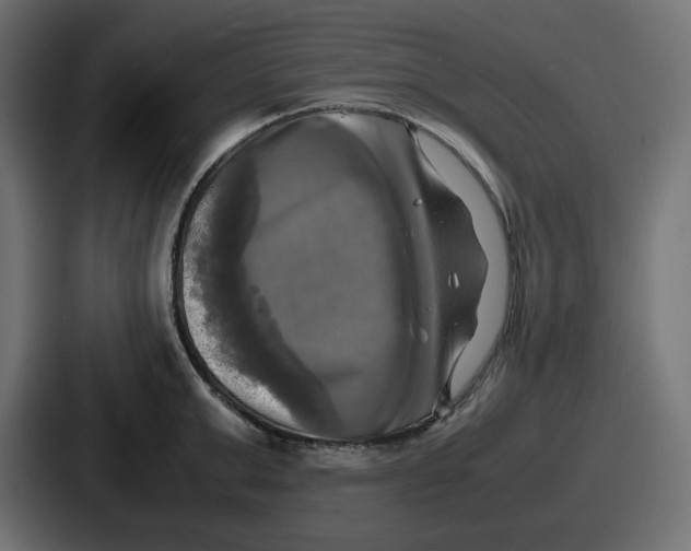 X0000086760999200705111711