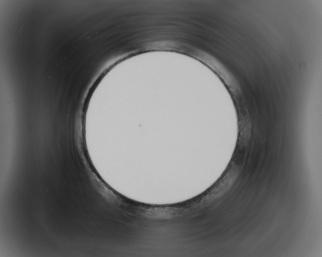 X0000086761000200705111711