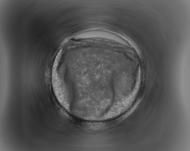 X0000086761001200705111711