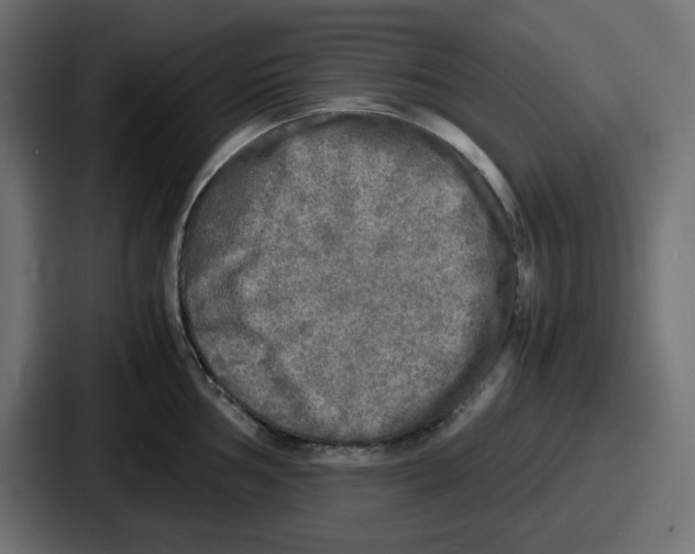 X0000086761002200705111711