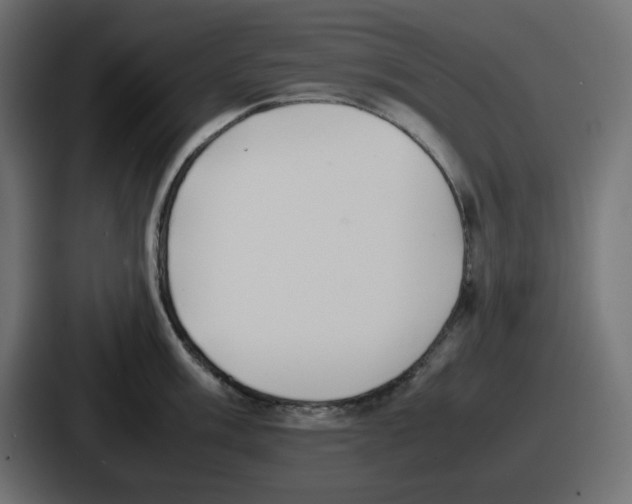 X0000086761003200705111711