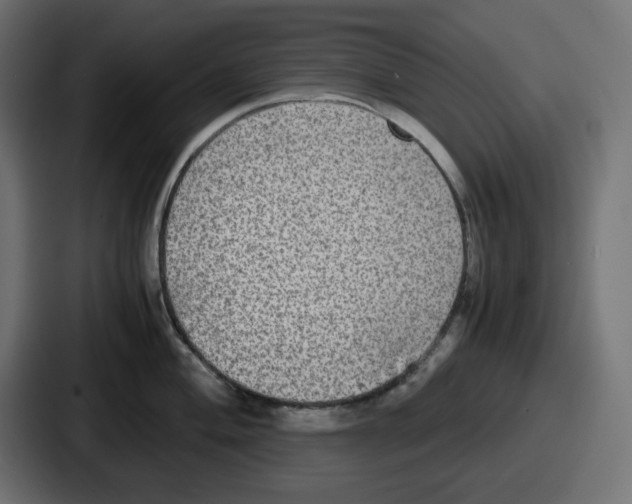 X0000086761004200705111711