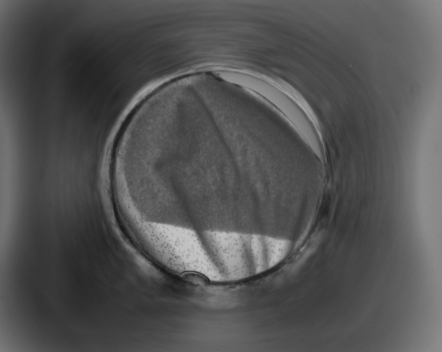 X0000086761005200705111711