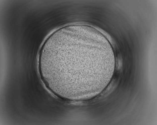 X0000086761006200705111711