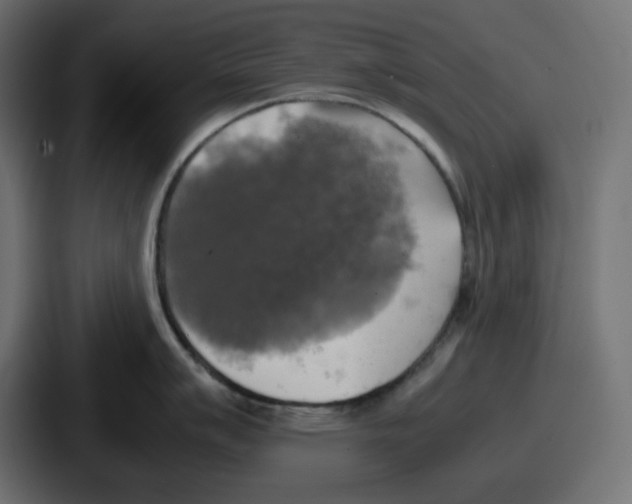 X0000086761007200705111711