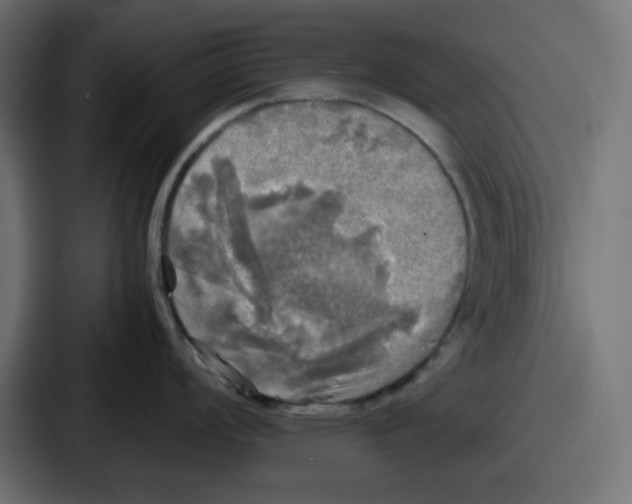 X0000086761008200705111711