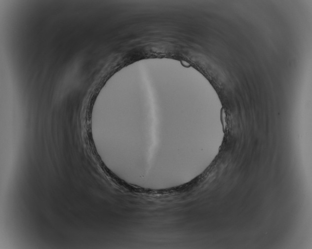 X0000086761009200705111710