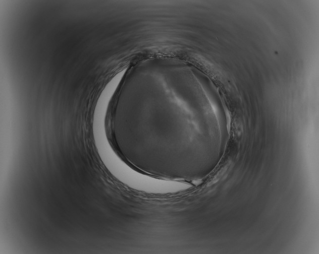 X0000086761010200705111710