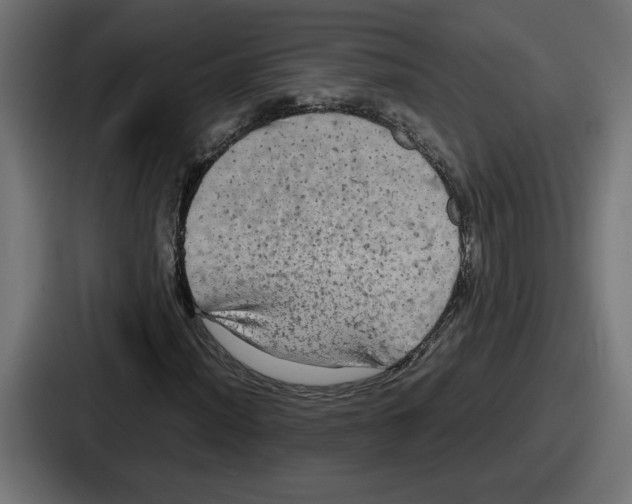 X0000086761012200705111710