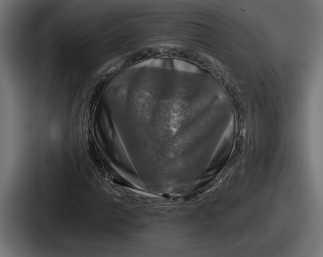 X0000086761014200705111711