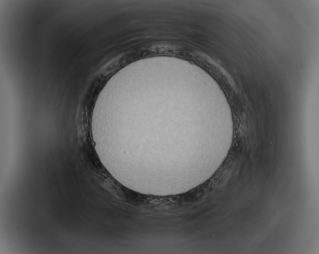 X0000086761015200705111711