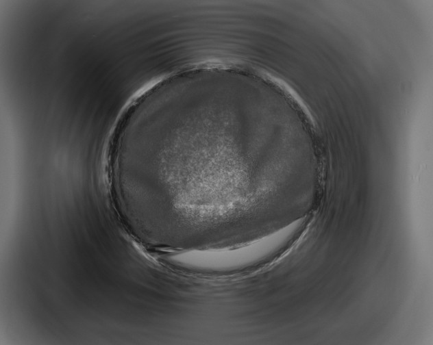 X0000086761018200705111711