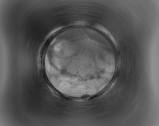 X0000086761019200705111711