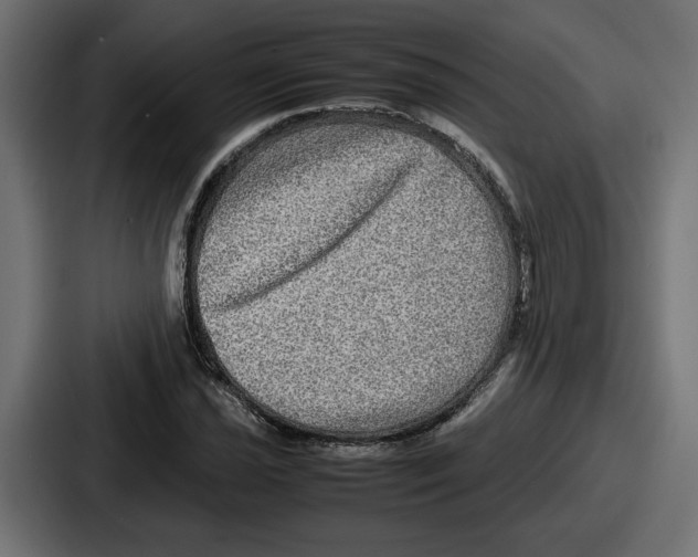 X0000086761021200705111711